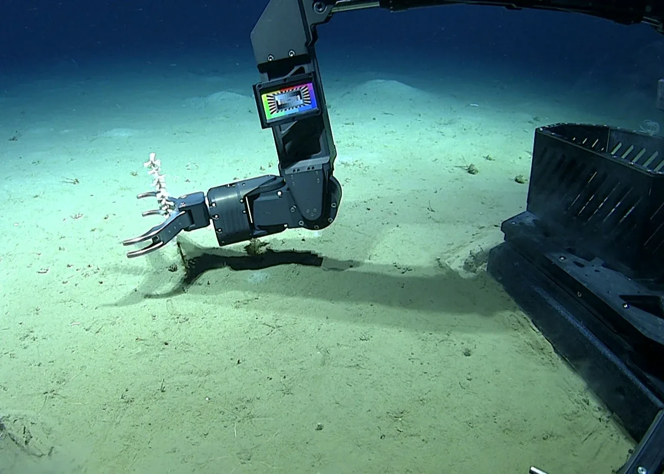 Deep Discoverer’s manipulator arm collects a sample from the seafloor at 3,952 meters.